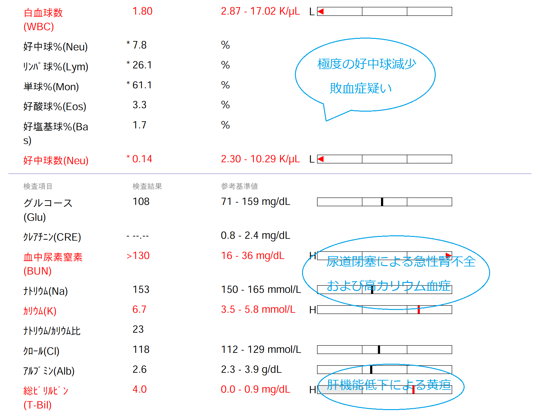 外科不適の子宮蓄膿症！敗血症からの復活！