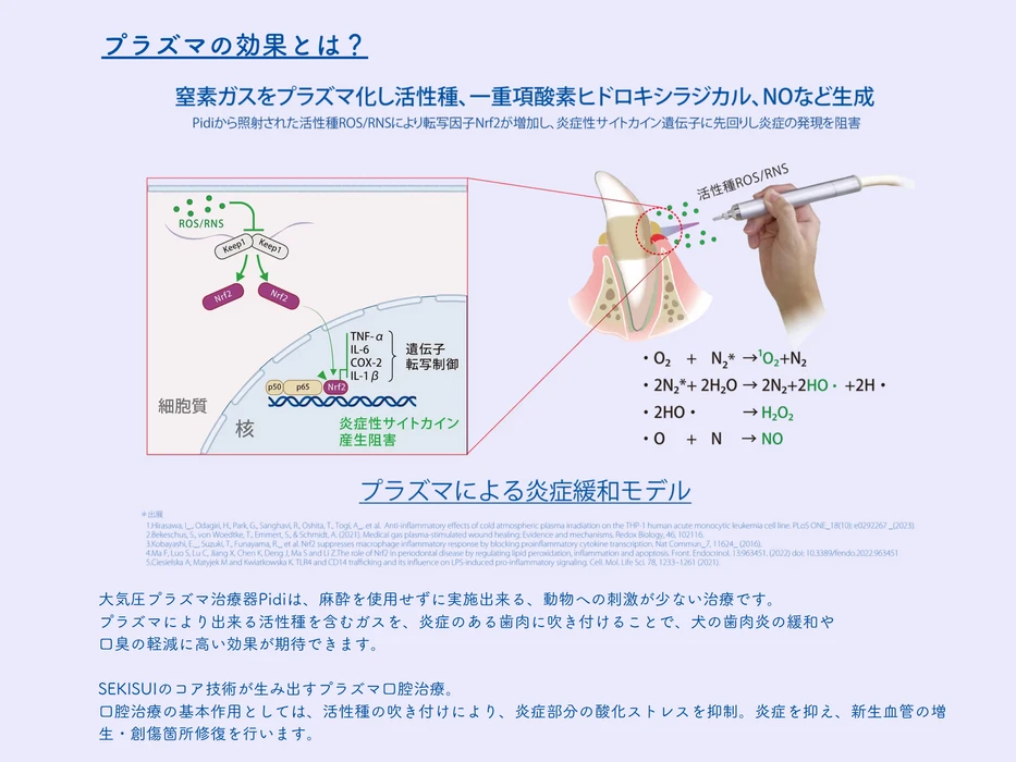 画像3580：大気圧プラズマ治療器 Pidi